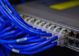 Network